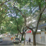 Vista da Rua